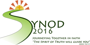 Logo for the Limerick Synod