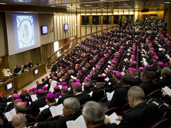 synod-of-bishops